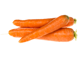carotte-fiche-bonduelle