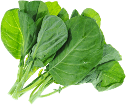 grelot-legume-bonduelle